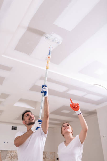 Best Air Quality Testing for Mold Spores  in Belding, MI