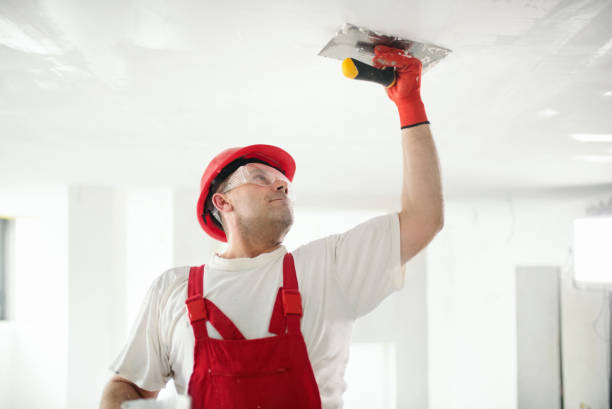 Best Crawl Space Mold Remediation  in Belding, MI