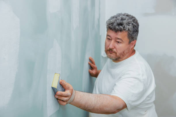 Best Post-Construction Mold Inspection  in Belding, MI