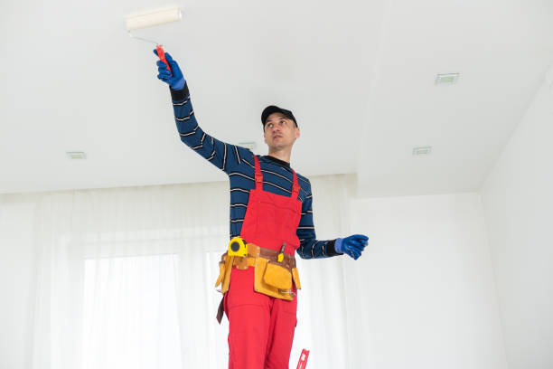 Best Forensic Mold Investigation  in Belding, MI