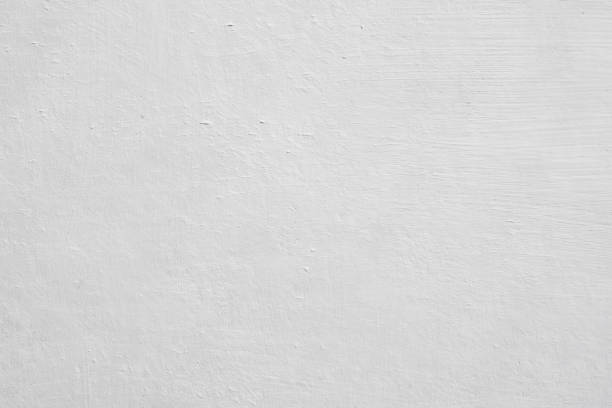 Asbestos and Lead Testing During Mold Inspection