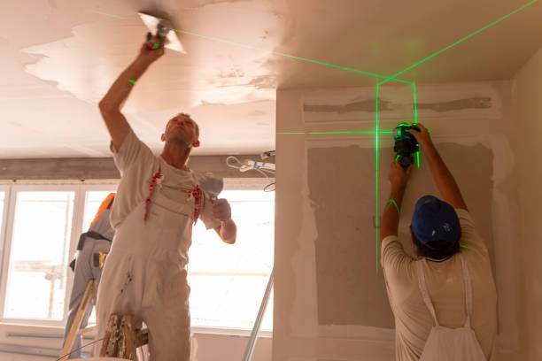 Best Attic Mold Removal  in Belding, MI