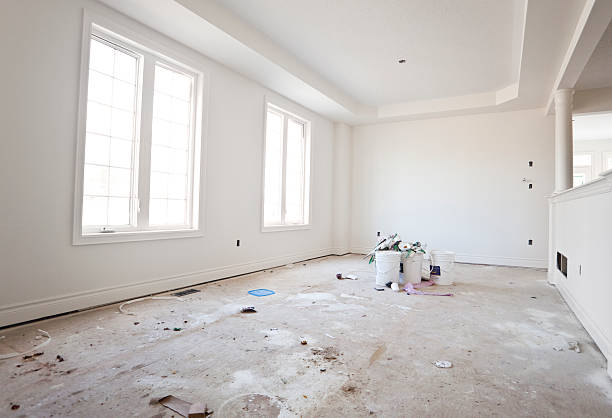 Forensic Mold Investigation in Belding, MI