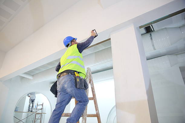 Best Black Mold Removal  in Belding, MI