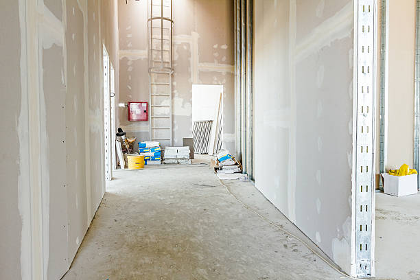 Best Post-Remediation Verification Testing  in Belding, MI